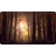 Tapis de Jeu Ile - John Avon Art - Megalis Forest Play Mat